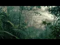 Download Lagu Suara Alam Liar Hutan Indonesia