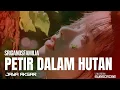 Lagu Sriganosfamilia - Petir Dalam Hutan | Rock Melody Cover 2025