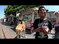 Download Lagu Cash 2.0 Great Dane at The Grove and Farmers Market in Los Angeles 109