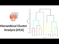 Hierarchical Cluster Analysis HCA in OriginPro Biostatistics Statistics Bio7