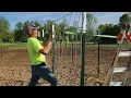 Metal Cattle Panel from Tractor Supply Inc for trellis