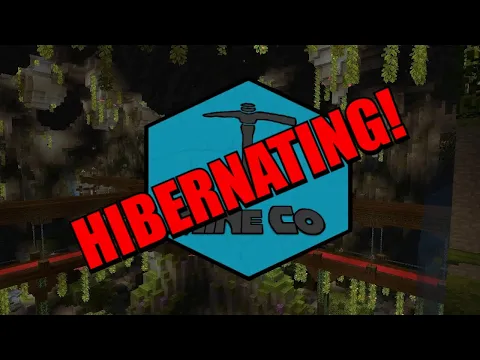 Minecraft server video for MineCO