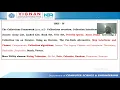 Java Utility Classes String Tokenizer Scanner Calendar Date Random Class Programs