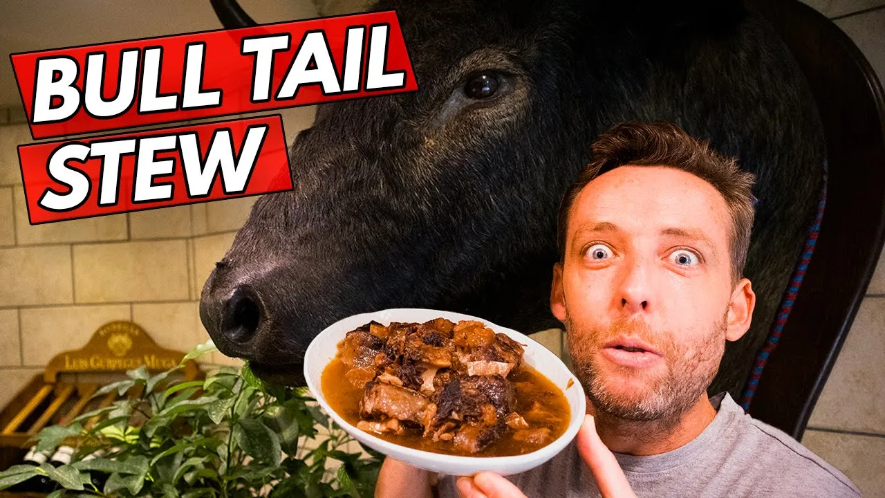 Can I make the best bull tail stew?