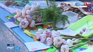 Сотни омских пенсионеров каждые выходные несут выращенное на своих дачах на рынки