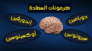 هرمونات السعادة الأربعة   أطعمة وأشربة ترفع هرمونات السعادة والحب والمزاج دندنها