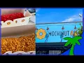 We Tried Mochinut in Kissimmee Florida Mochi Donuts Korean Rice Hot Dogs and Bubble Tea