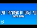 Download Lagu Shakira - Can't Remember to Forget You feat. Rihanna