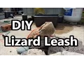 DIY Lizard Leash
