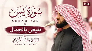 تفيض بالجمال سورة يس كاملة بصوت القارئ رعد الكردي