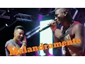 Download Lagu Malandramente - Banda Ziriguidum feat. DJ Ramon (DVD 2)