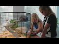 Download Lagu Hamsterkooi met doorzichtige onderbak - Interzoo Vision [Discus Productvideo]