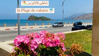 شاطئ كالايرس                        دندنها