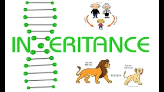 Selenium Framework - Part 15