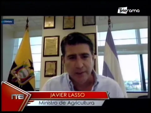 Fiesta virual del Aguacate potencia esta fruta para exportación