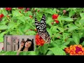 Marry Me Today David Tao & Jolin Tsai 今天妳要嫁给我 陶喆  蔡依林 | Chinese English & Pinyin Lyrics