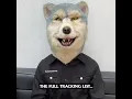 Download Lagu 🐺Jean-Ken Johnny from Man With A Mission