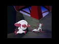 اليونق و الرند - البزر والفقي