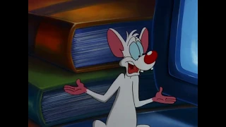 اليونق و الرند   البزر والفقي دندنها