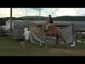 WNEP Chief Meteorologist Kurt Aaron Delivers Forecast Atop a Camel