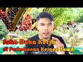 Download Lagu PERKEBUNAN KELAPA SAWIT || SUKA DUKA BEKERJA DI PERKEBUNAN KELAPA SAWIT
