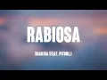 Rabiosa - Shakira (feat. Pitbull) (Lyrics Version) 💕