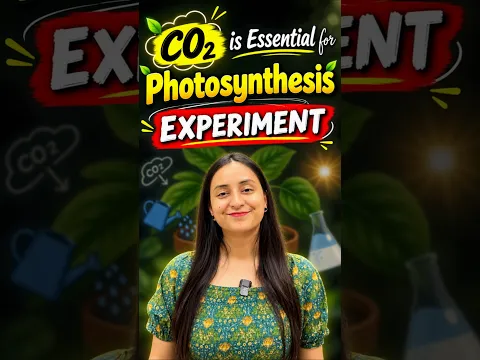 Prove CO2 is Essential for Photosynthesis | Experiment #neet #shorts #study #ytshorts #class11