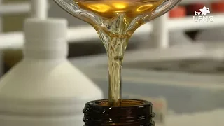 Fabricação de biodiesel é feita a partir do óleo de fritura
