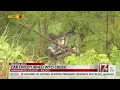 Car runs off Hammond Road flips into creek Raleigh police say