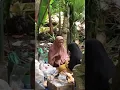 Download Lagu mentahan ibu ibu tukang gosip