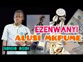 Lagu Nonso Ogidi - Ezenwanyi Alusi Mkpume