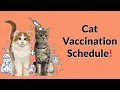 Your Complete Guide to Kitten Adult Cat Vaccinations