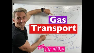 gas transport