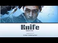 ENHYPEN (엔하이픈) - 'Knife' (Sunghoon Ver.) [Color Coded Lyrics/Han/Rom/Eng]