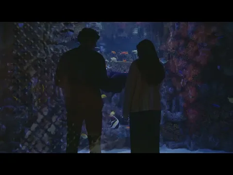 Altar Egos (2025) dir. Mayrav Estrin | Official Trailer