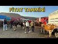 Download Lagu 09 EYLÜL KIRIKKALE HAYVAN PAZARI GÜNCEL SATIŞLAR 