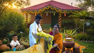 🌾The Suggi Festival In My Village Home | Pongal, Kites & Campfire #harvest #festival #villagelife