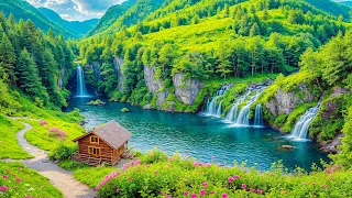 Beautiful Relaxing Music - Stop Overthinking, Stress Relief Music, Sleep Music, Calming Music #389