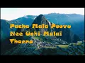 Download Lagu PACHAMALA POOVU #english lyrics #tamil lyrics #SPB #ilayaraja #Kizhakku Vaasal #Karthik Muthuraman