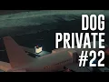 Download Lagu Dubdogz - DOGPRIVATE #22 (Private Jet Villa, Bali)