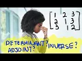 Determinant Adjoint and Inverse of a Matrix - Example