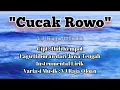 Download Lagu CUCAK ROWO Instrumental Lirik. Variasi Musik : VJ Raja Oloan @vjrajaoloan