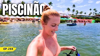 HIGH WALL a swimming pool! Porto de Galinhas and FAMILY reunion day | Ep.233