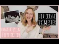 Lagu Dit was de MEISJENAAM,  keus voor DERDE, ZWANGERSCHAPSMISSELIJKHEID | Q\u0026A 1e Trimester | Wil \u0026 Tien