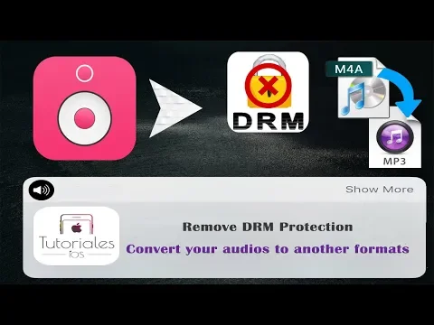 Download MP3 Elimina la protección DRM y Convierte archivos de audio a MP3, AAC y otros formatos