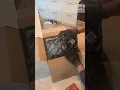 Unboxing new Centric Brake Rotors and Pads from PartsAvatar for my 2014 Honda Accord