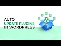 How to Auto Update Plugins in WordPress Correctly Themeim