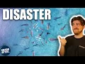 Lagu Locals Fed Sharks For Money and It's Spiralled Out of Control