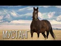 Lagu Мустанг: Неподкованная Свобода | 2026 Год Лошади | Интересные факты про лошадей