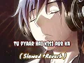Lagu Tu Pyaar hai kisi aur ka lofi song | Slowed + Reverb | New sad Lofi Song